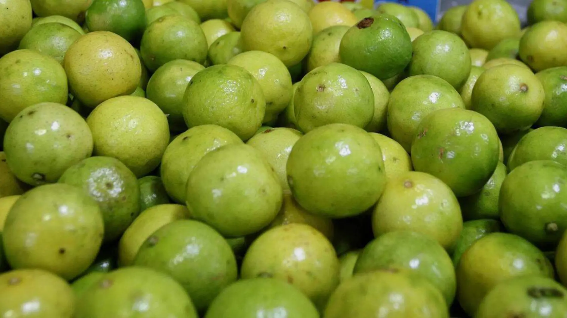 Consumir el jugo de un limón o agua de este sabor en ayunas para aprovechar al máximo los beneficios de esta fruta